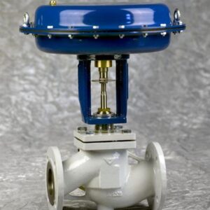 Globe Control Valves