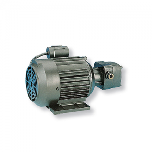 ROTARY MOTOR DIESEL PUMPS